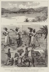 Skizzen auf der Insel St. Lucia, Britische Westindische Inseln